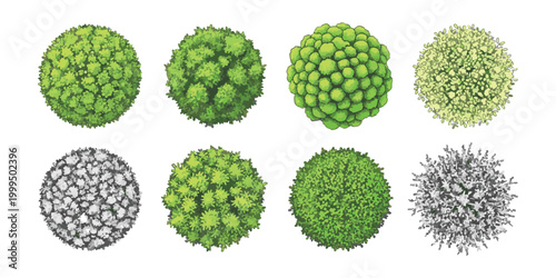 Set of eight top view trees for architectural landscape design and garden planning