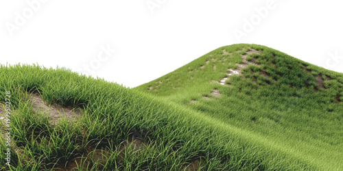 Green grassy hills with dark rocky terrain in a natural meadow landscape