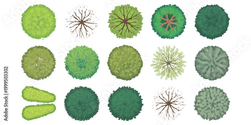 Set of top view tree icons for landscape architecture and garden design planning