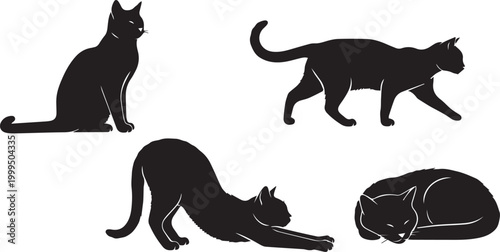 Cat Vector illustration 