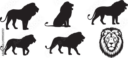 Lion Vector illustration and  different pos 