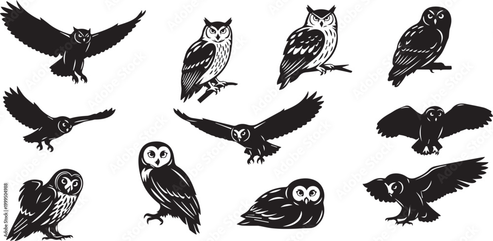 Obraz premium Owl bird vector illustration 