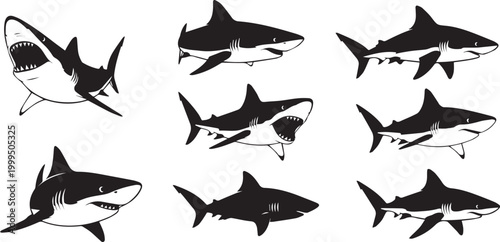 Set of shark vector silhouettes ocean wildlife illustration collection