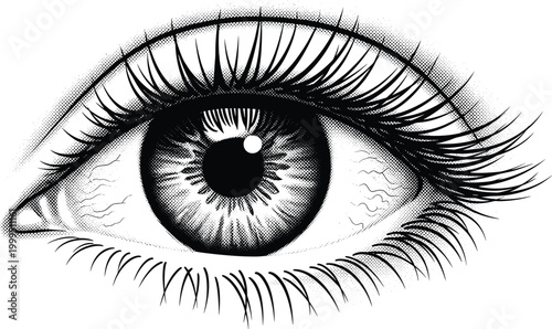 Detailed human eye vector illustration featuring long eyelashes realistic pupil iris texture and halftone stippling shading for optometry flavector digital art.