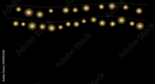 Warm fairy lights form a cascading pattern for a dreamy and elegant holiday display.