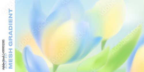 Spring tulip flowers bloom in soft pastel colors against gentle gradient background. Delicate floral botanical design with blurred petals creates elegant Easter card atmosphere.