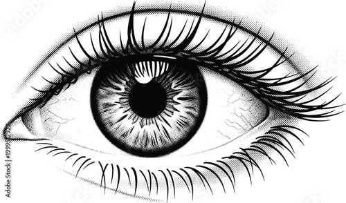 Detailed human eye vector illustration with long eyelashes pupil iris and stippling shading for vision optometry health flavector digital art.