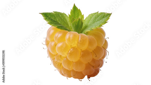 Golden ripe raspberry with green leaves and calyx