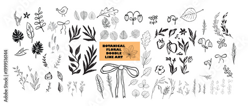 Hand Drawn Botanical Floral Doodle Line Art Vector Set Leaf Flower Branch Decorative Elements Collection Minimal Nature Clipart Isolated on White Background