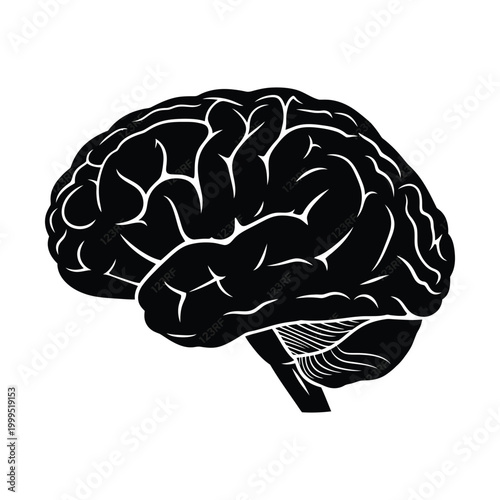 Anatomical human brain silhouette vector, black and white cerebral cortex icon, medical neurology organ illustration for science
