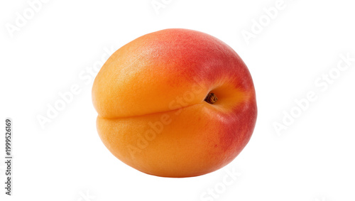 Cuadro en lienzo Ripe juicy apricot fruit with stem and blush skin