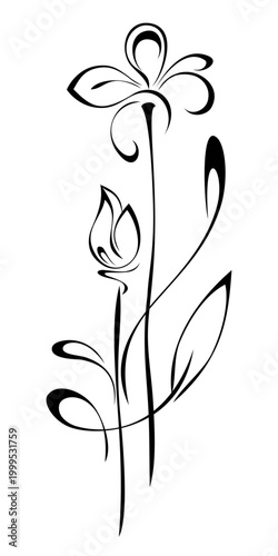 decorative element with a stylized flower on a stem with leaves and curls; graphic design