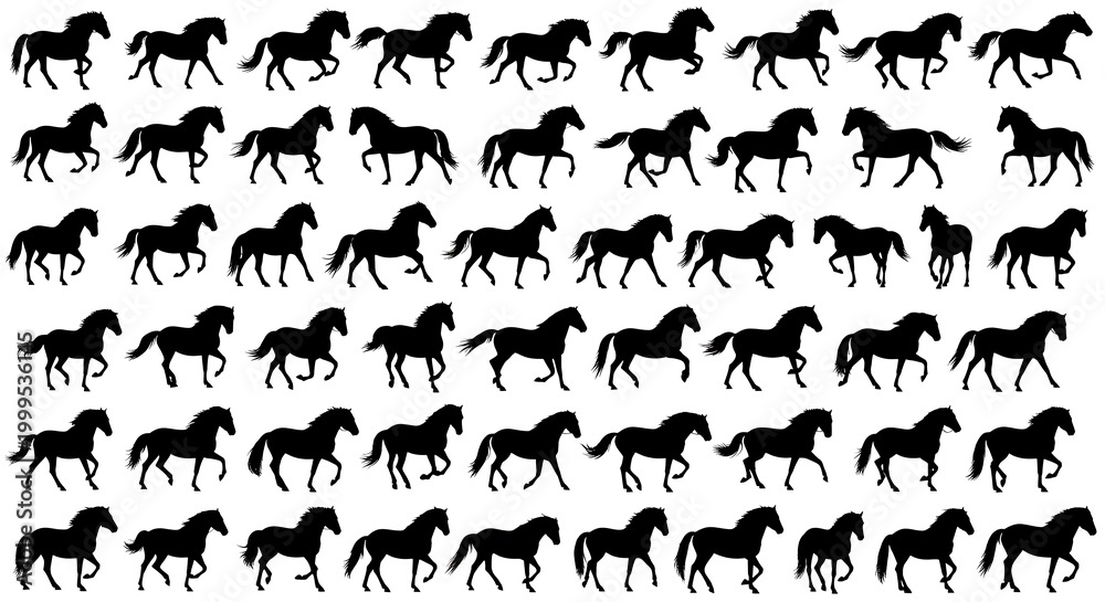 Fototapeta premium Set of horse silhouettes in various poses and movements isolated on white background