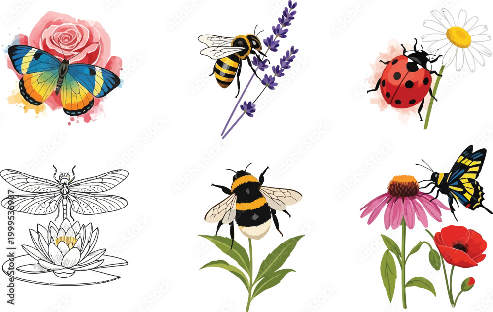 Fototapeta premium Collection of colorful insects and flowers including butterflies bees ladybugs and dragonflies in a charming illustrative style for nature and garden themes