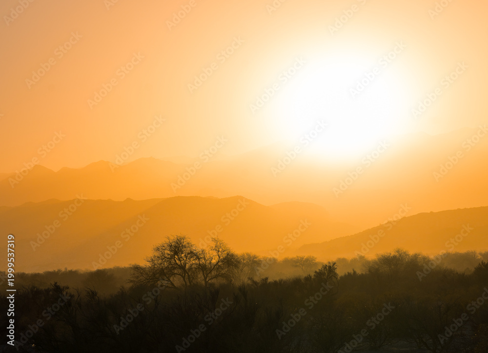 Fototapeta premium Golden sunrise over mountain silhouettes and desert trees