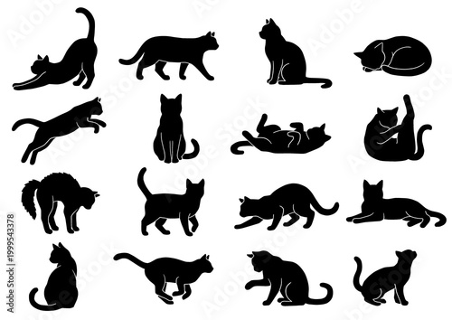 cat silhouettes isolated on white background