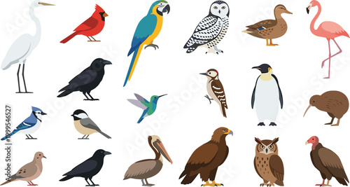 Large collection of diverse wild birds including eagle parrot penguin owl and flamingo flat vector illustration isolated set,