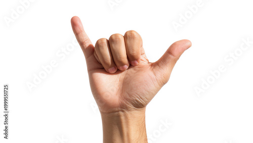 Canvastavla Brown Male Hand Forming Hang Loose Gesture