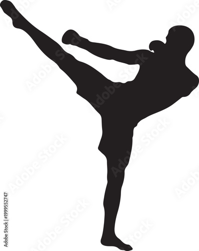 Silhouette of fighting man 