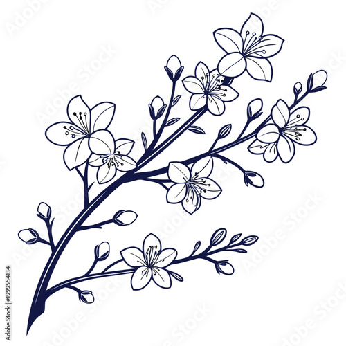 winter jasmine vector