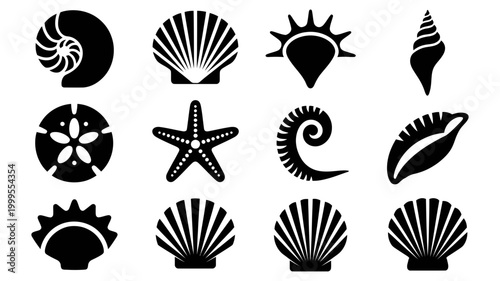 Diverse collection of seashells and marine life nature icons with seashells starfish nautilus underwater