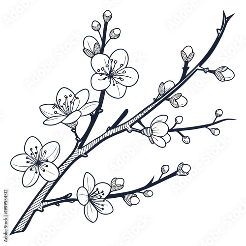 winter jasmine vector