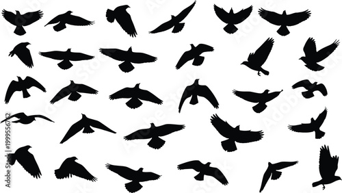 Black Silhouette Flying Birds Collection Various Poses and Angles Isolated on White Background Flat Vector Icon Set Design