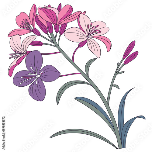 Tableau sur toile wallflower colorful on white background