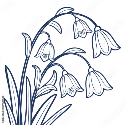 virginia bluebell with leaves