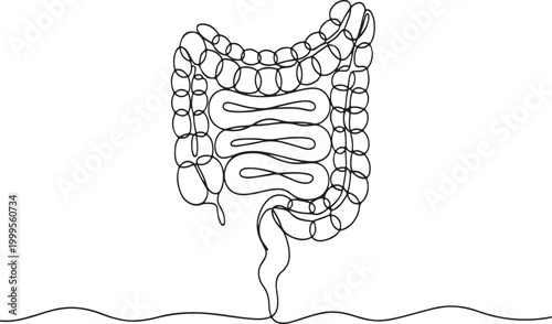 Continuous line drawing of human intestines digestive system