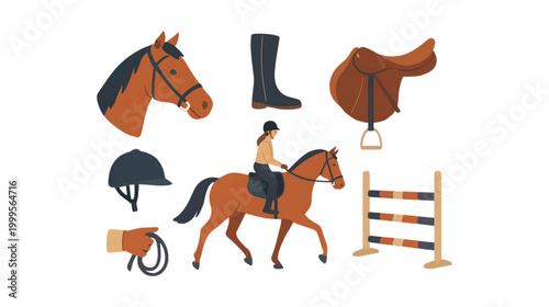Essential equestrian equipment and a horse with a rider illustration.