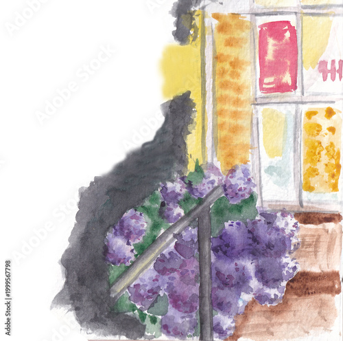 Watercolor drawing of beautiful lilac hydrangea flowers blooming near supermarket shop