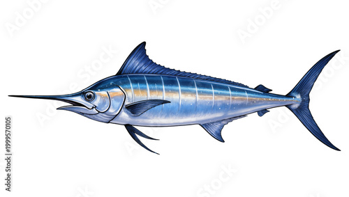 Canvas Print Blue Marlin Fish with Long Bill and Pointed Fins