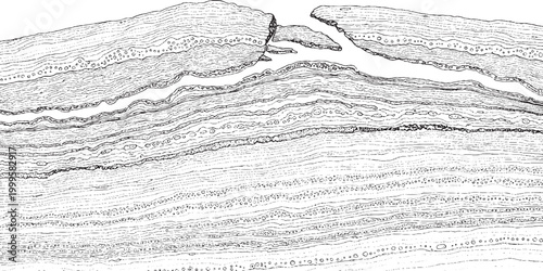 Abstract distressed grungy texture with wavy horizontal layers and central fault line or crack for graphic design background distressed abstract background monochromatic backdrop wallpaper