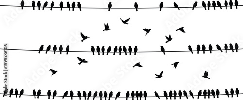 Obraz na płótnie Bird silhouette collection perched on wires with flying poses – vector illustrat