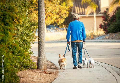 An elderly man walking three dogs down a sidewalk in a residential neighborhood