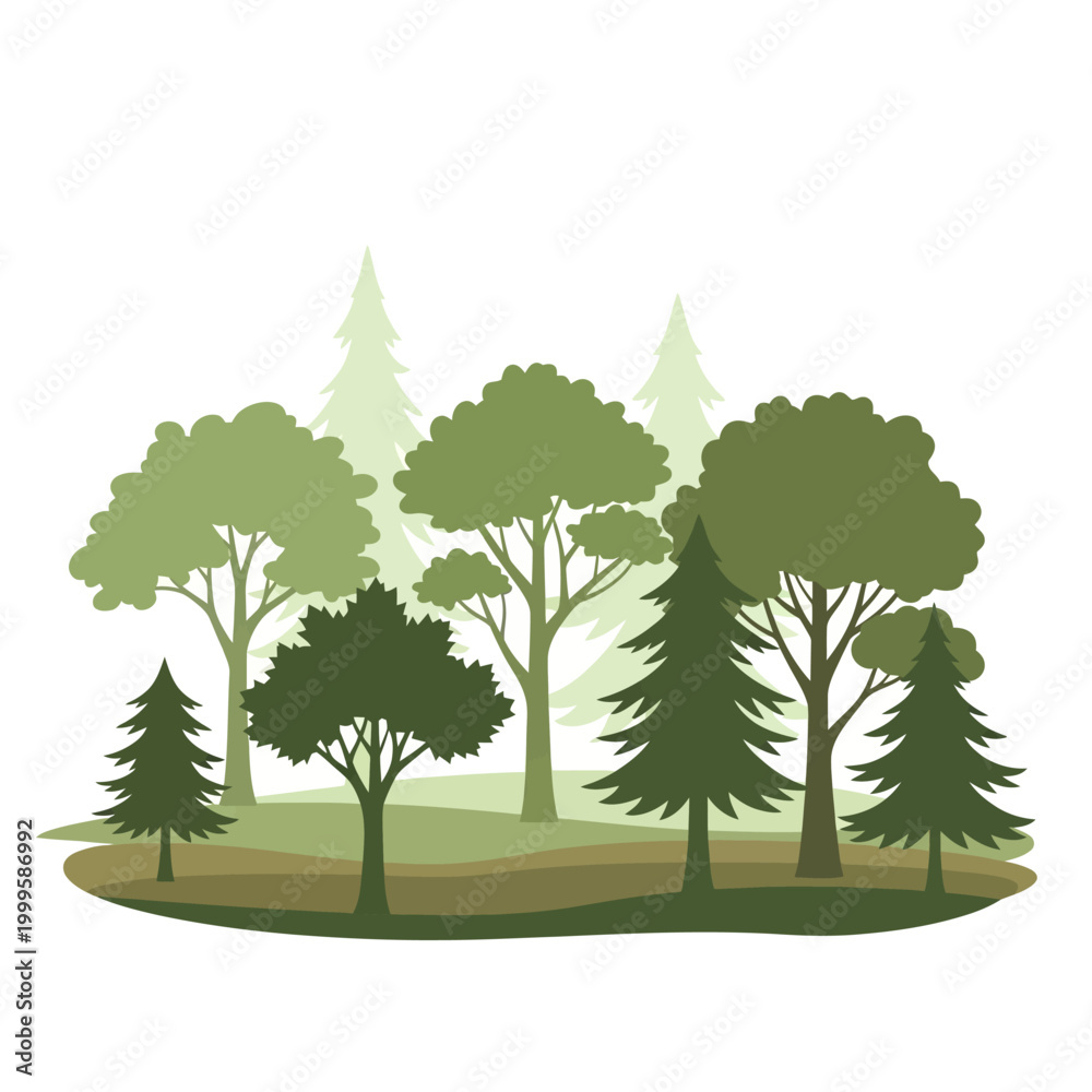 Fototapeta premium Diverse Woodland Silhouette: Green Trees and Pine Forest Landscape