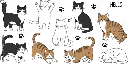 Cute Cartoon Cat Collection with Various Poses and Paw Prints Including Sleeping Playing and Sitting Kittens for Pet Design