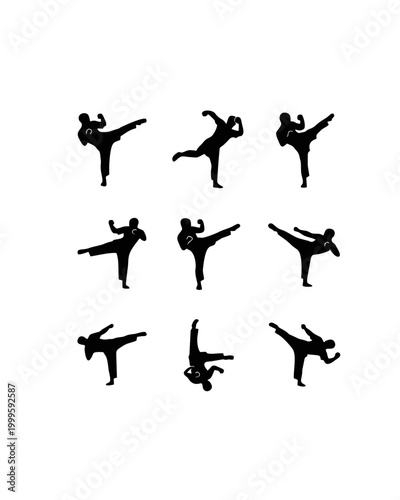 Martial arts practitioners perform various kicking techniques in a studio setting