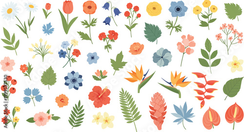 Colorful assorted flowers and leaves on white background for decoration and design