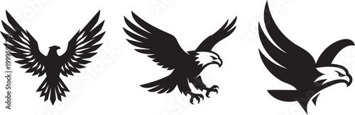 Black eagle silhouettes flying