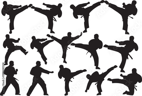 Silhouette of various martial arts poses on with kicking and punching stances