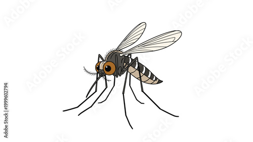 Detailed anatomical illustration of a mosquito with black and white striped legs and large brown eyes isolated on a plain white background.