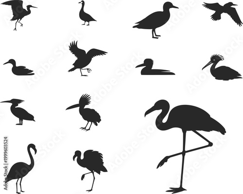 Assortment of Bird Silhouettes on White Background flamingo heron