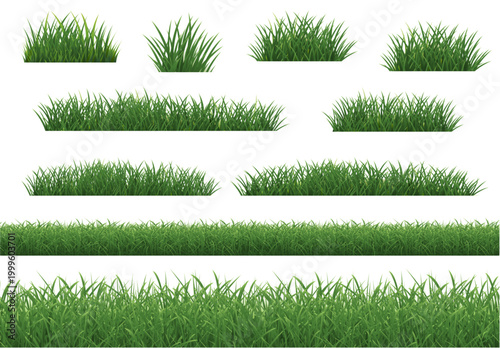 Grass Big Collection With White Background