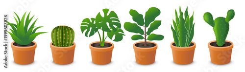 House Flower In Pot Big Collection Isolated