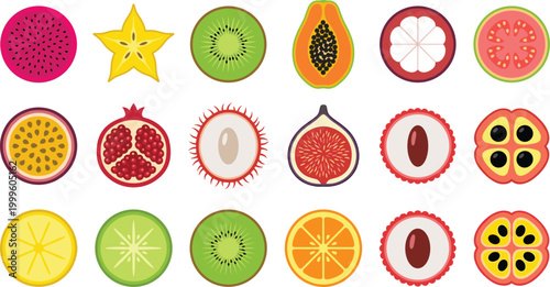 Colorful Tropical Fruit Slice Vector Collection Featuring Kiwi, Papaya, Dragon Fruit, Passion Fruit, Fig, Rambutan and Citrus Cross Sections in Flat Style for Fresh Food Design