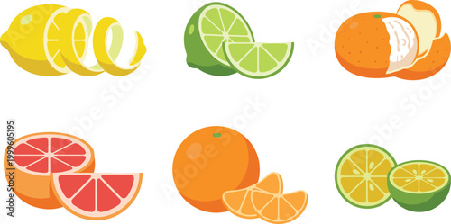 Citrus Fruit Preparation Vector Set with Lemon Peel, Lime Slices, Orange Segments and Grapefruit Pieces in Flat Style for Fresh Food Design and Healthy Nutrition Concepts