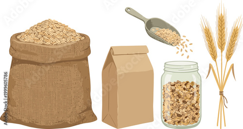Whole Grain and Oat Products Vector Illustration Featuring Sack of Oats Paper Bag Glass Jar Wheat Ears and Scoop Healthy Food Collection