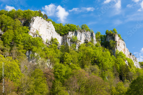 Naturpark Obere Donau bei Hausen im Tal, Schwäbische Alb, Landkreis Sigmaringen
